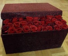 1001 ffd